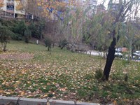 Eski Hali